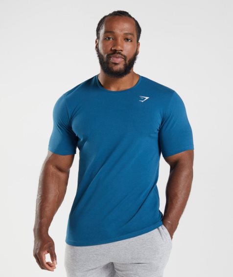 Men's Gymshark Essential T-Shirts Blue | CA 3N680A